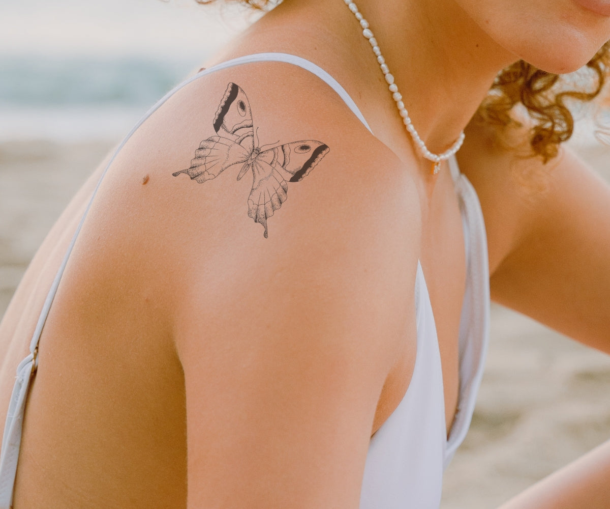 Admiral Schmetterling Waterless