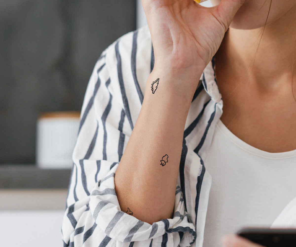 Dinosaur set by Jessica