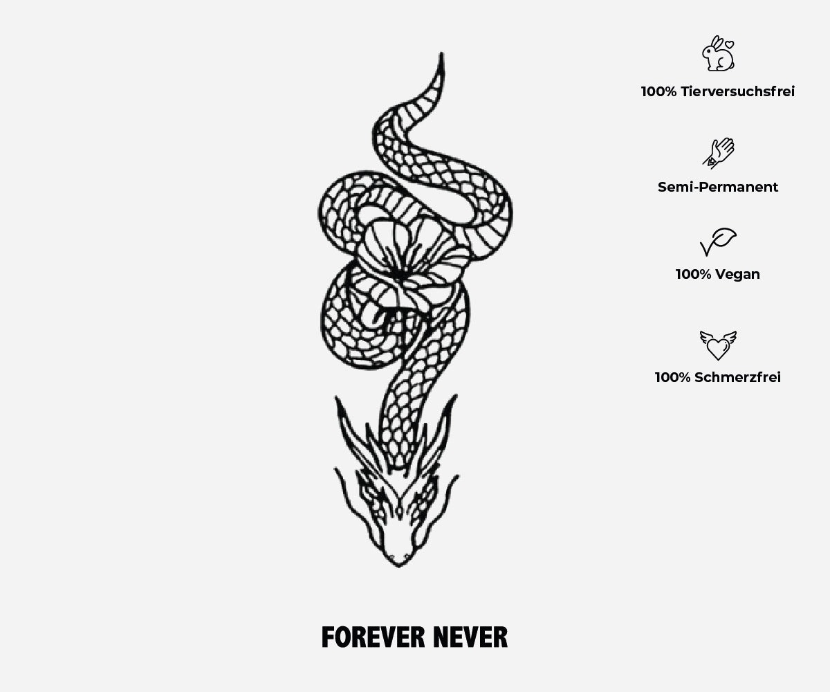 Schlange der Drachen