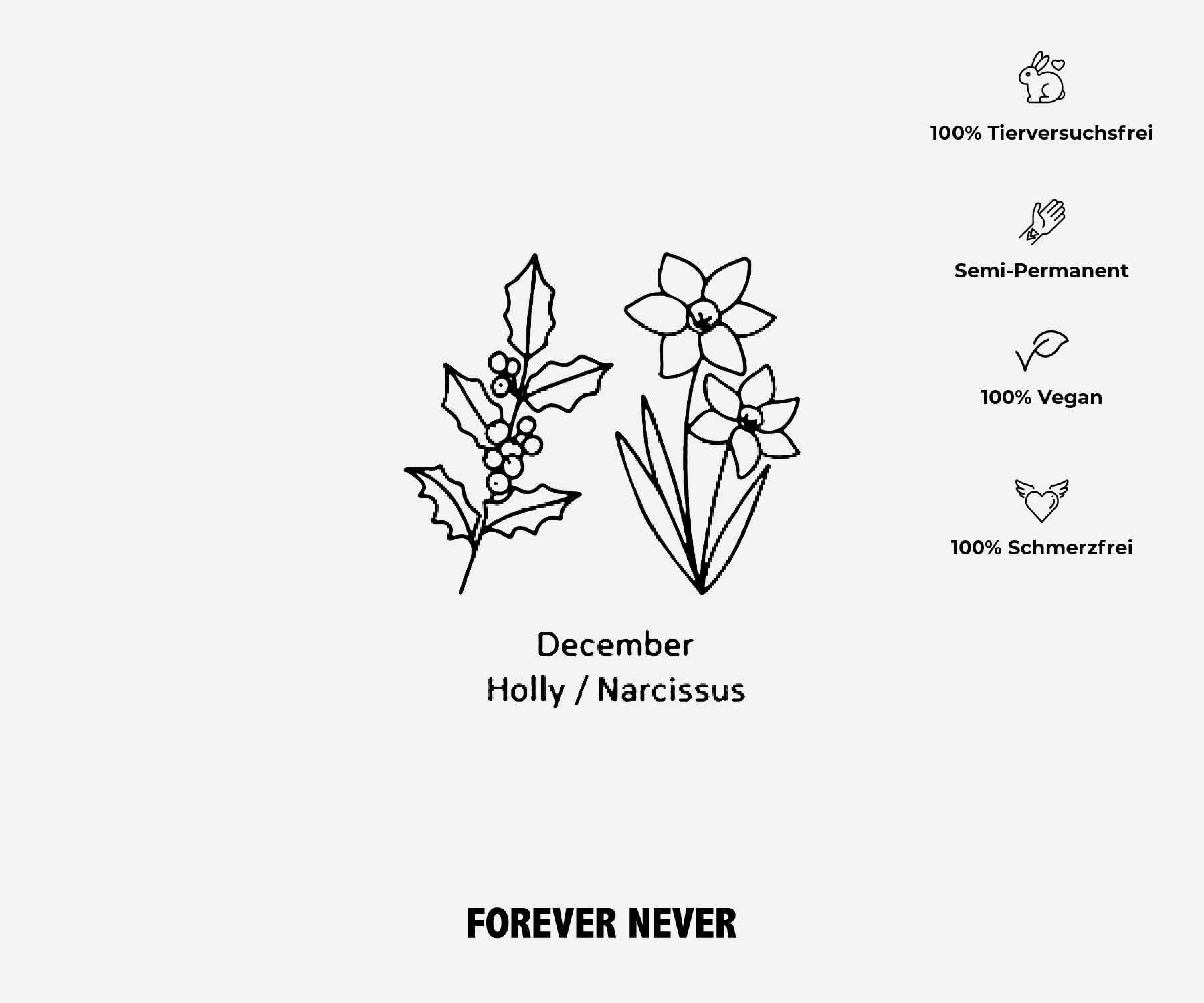 Sternzeichen Schütze & Geburtsblume Dezember