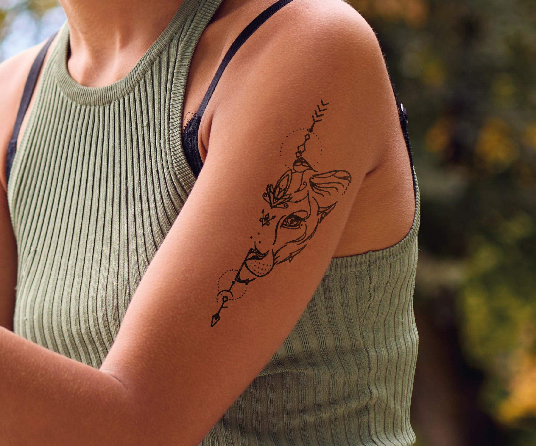 Orientalischer Löwe