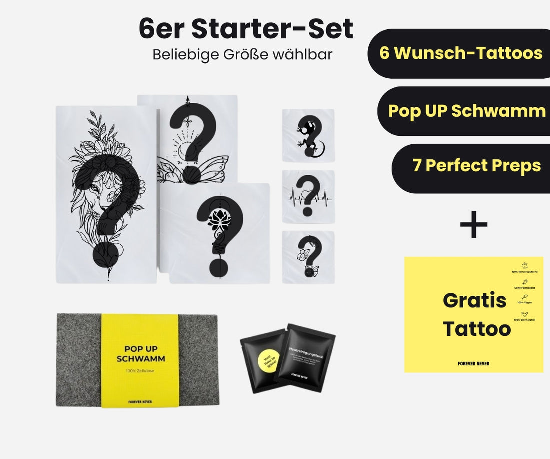 6er Starterset