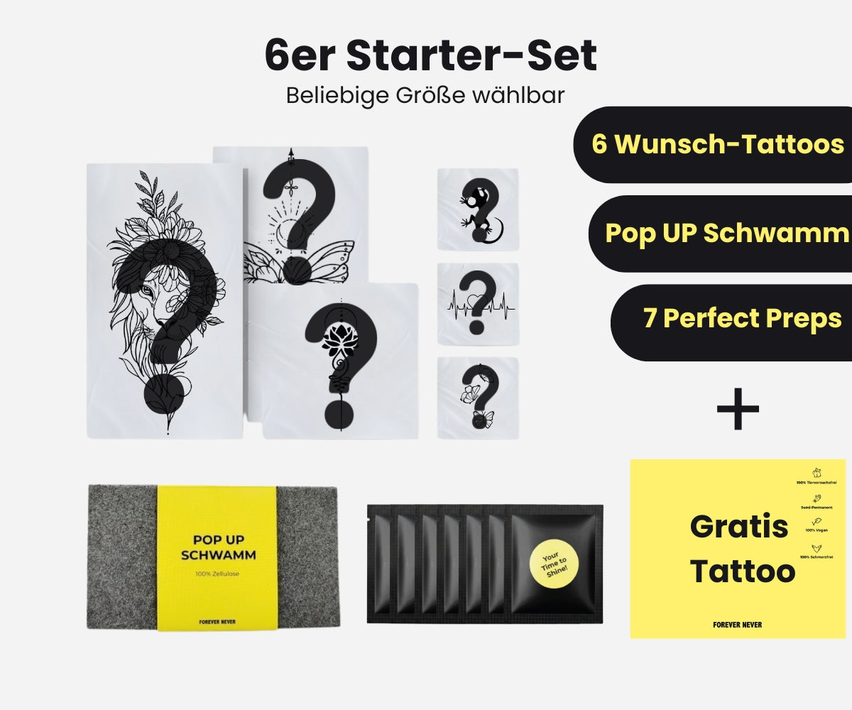 6er Starterset