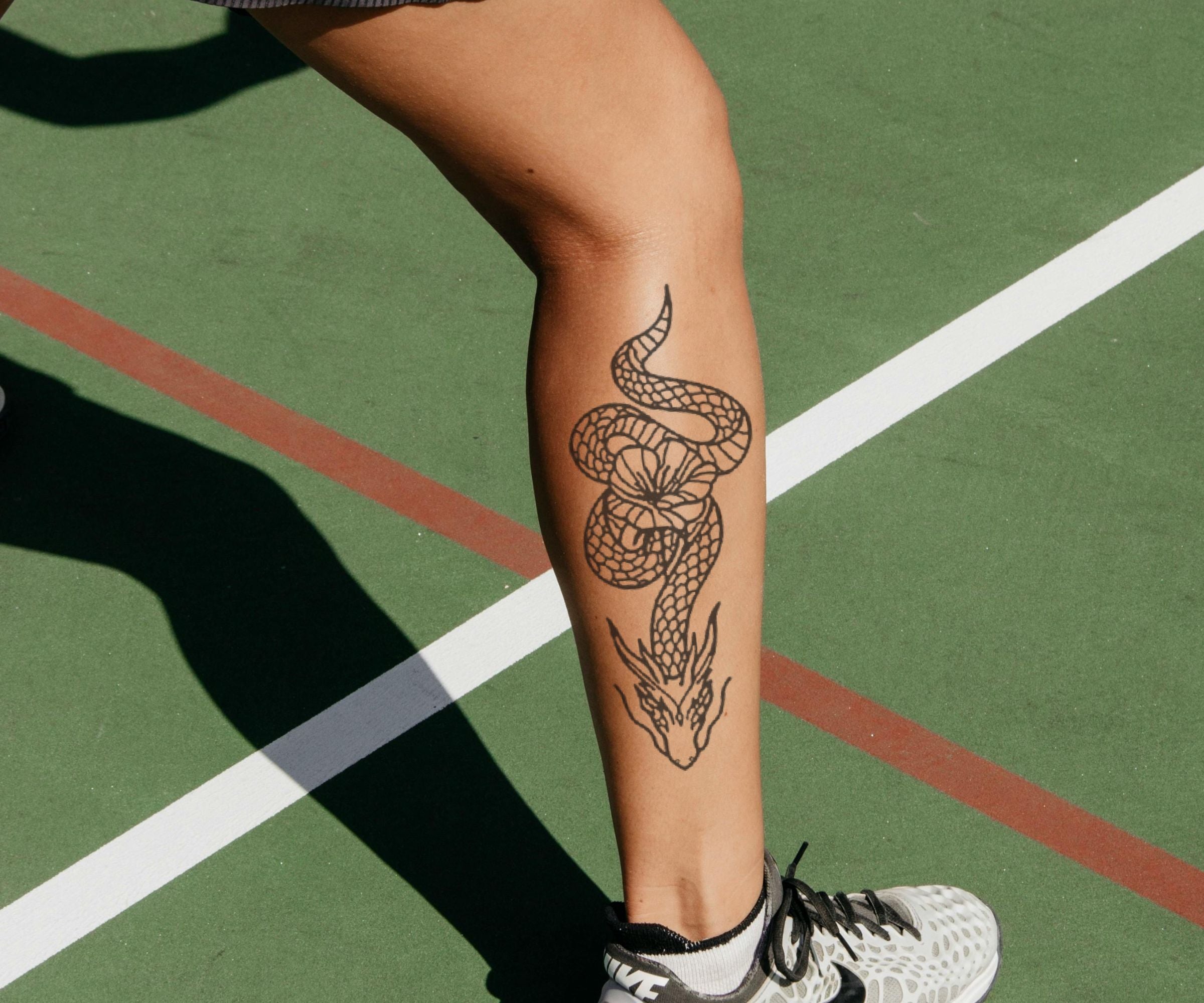 Schlange der Drachen