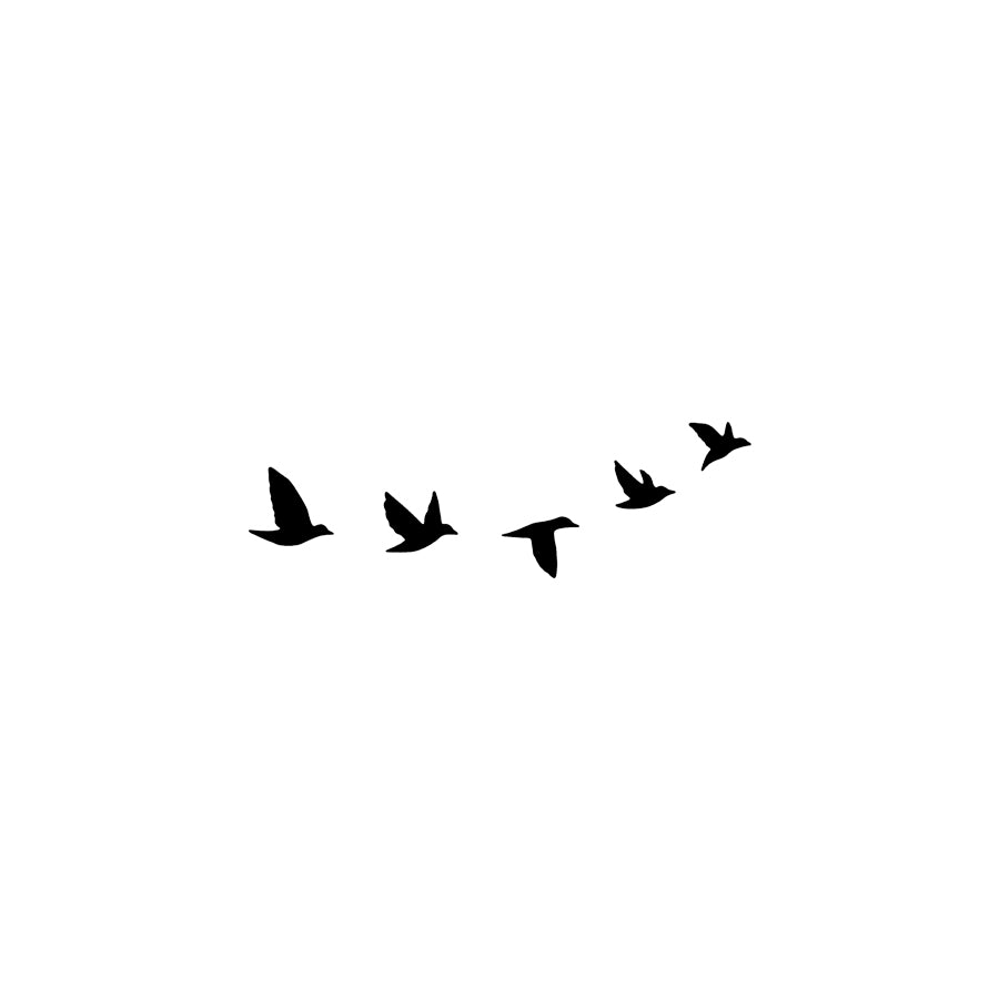 Fliegende Vögel 🖤