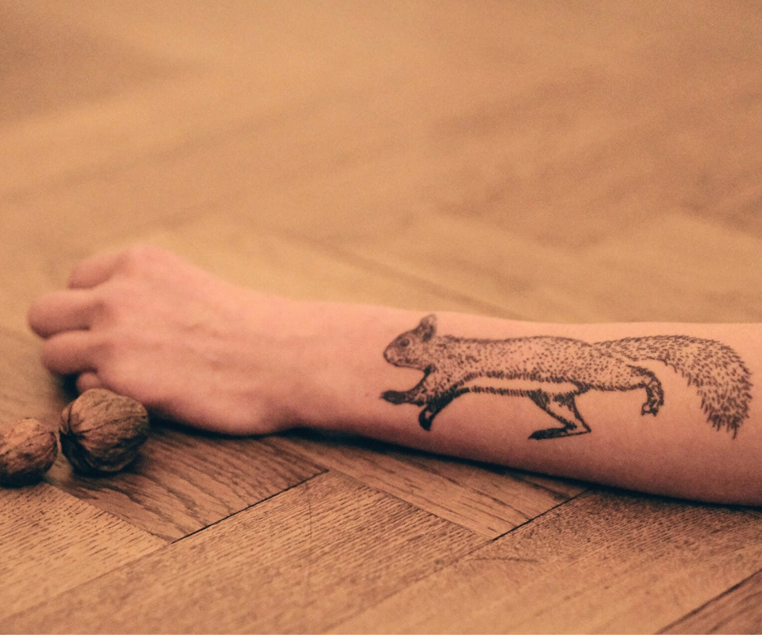Eichhörnchen  (Schattentattoo)