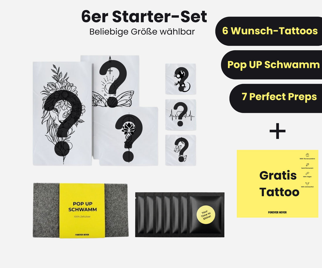 6er Starterset