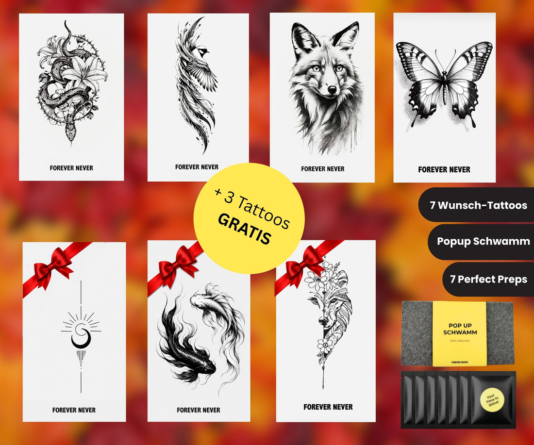 Herbst Starter Set Pro