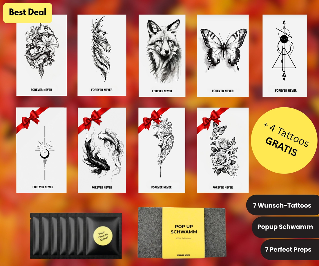Herbst Starter Set Deluxe