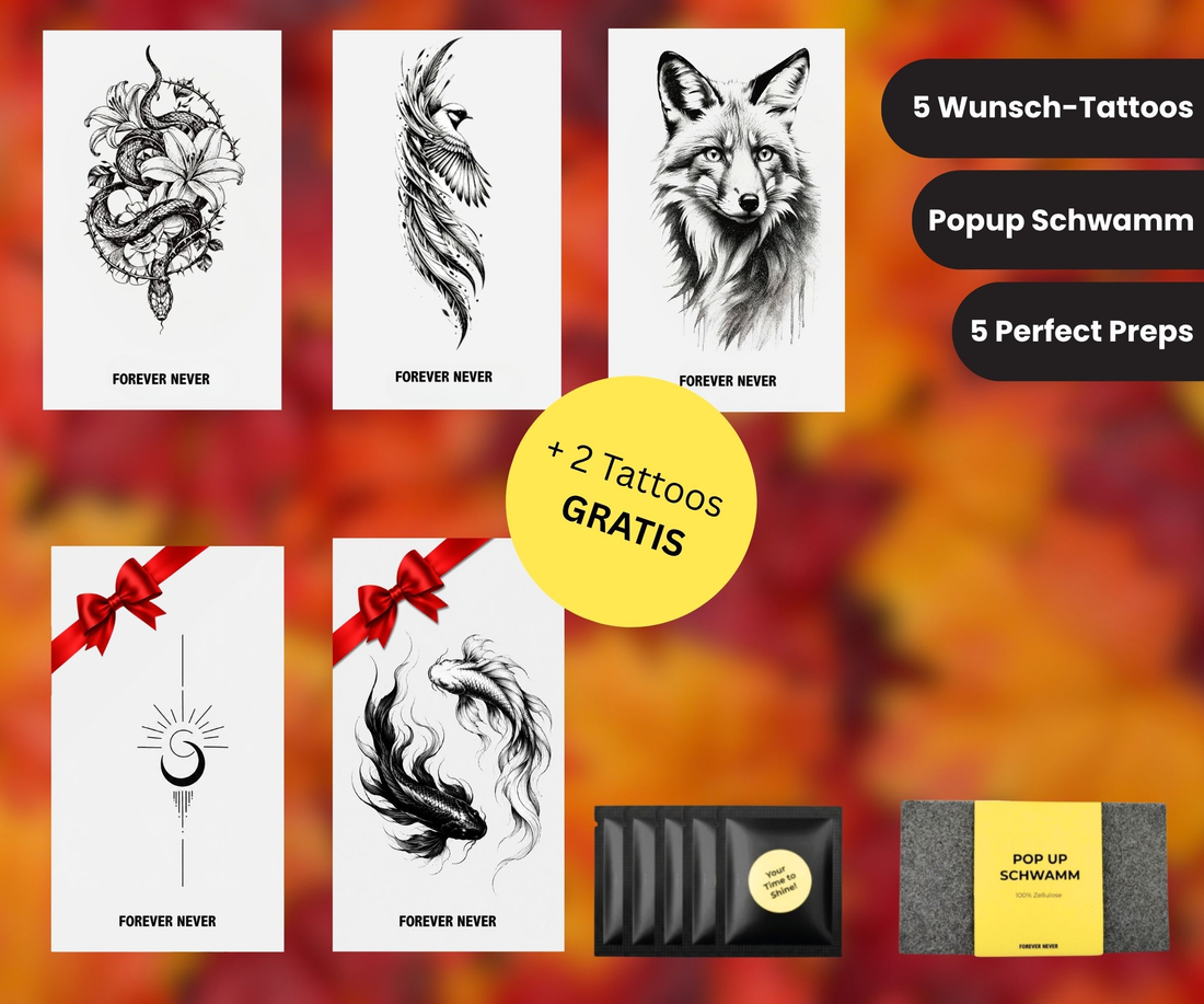 Herbst Starter Set