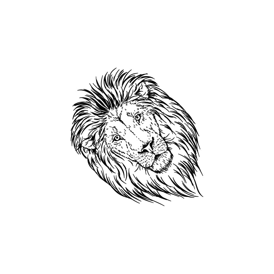 lion 🖤