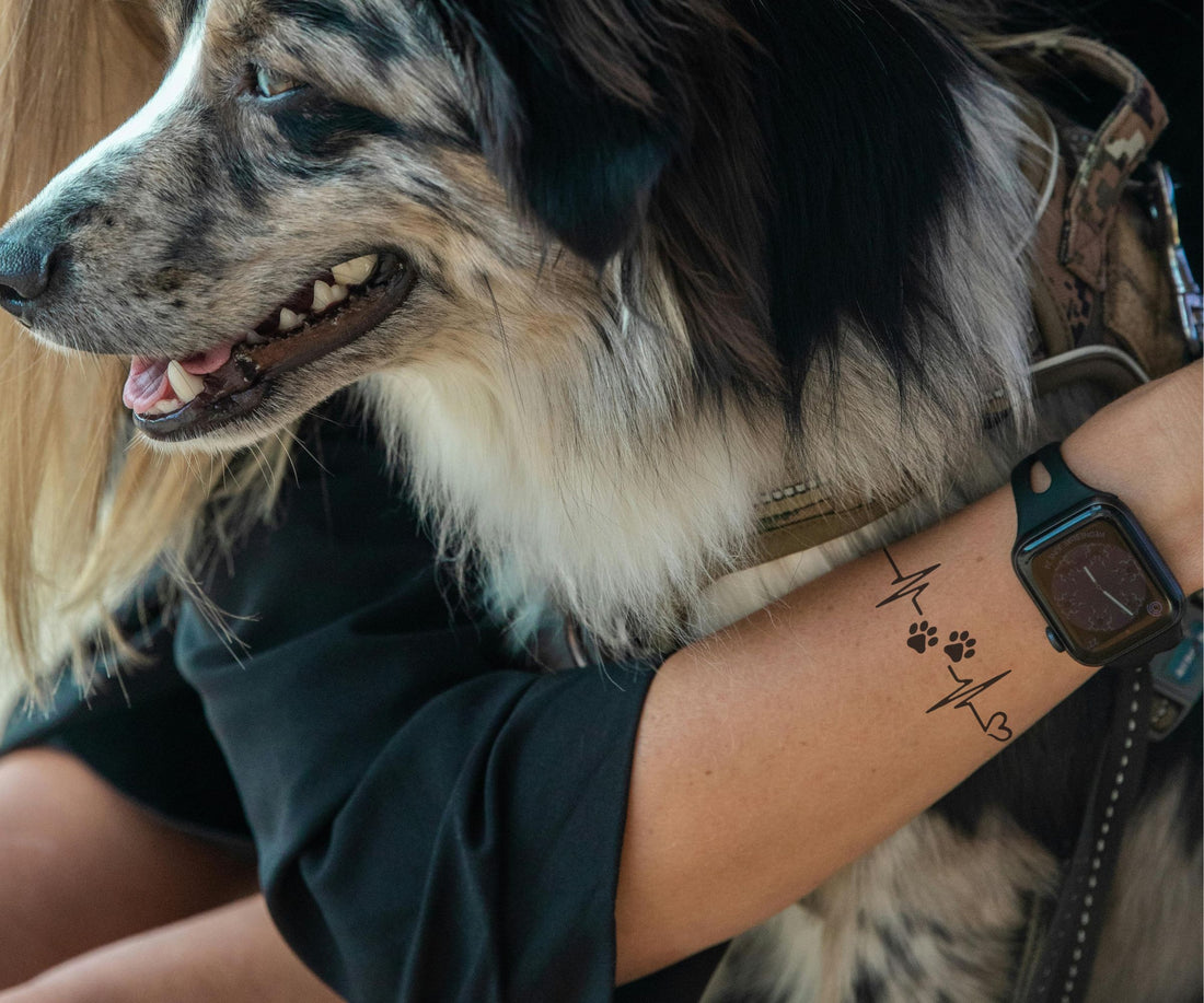 Pfötchen Herzschlag