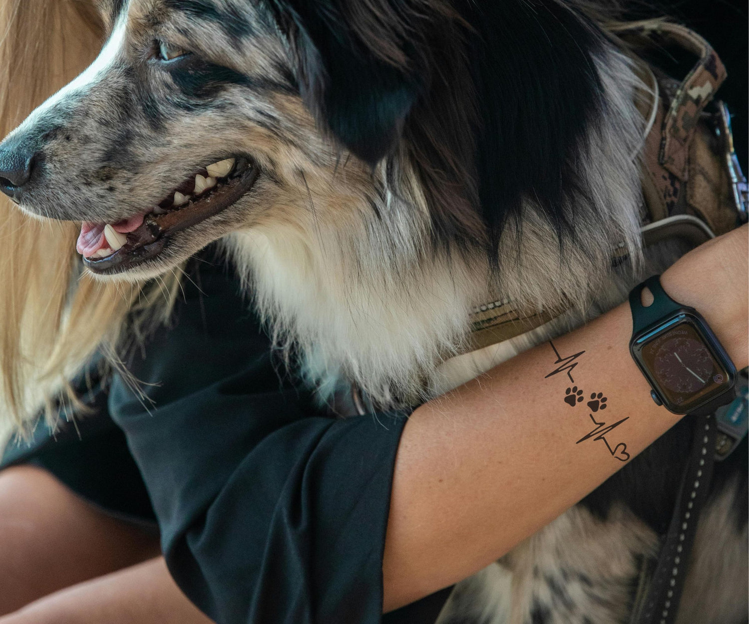 Pfötchen Herzschlag