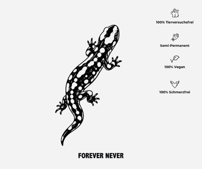 Salamander