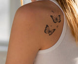 Butterfly duo