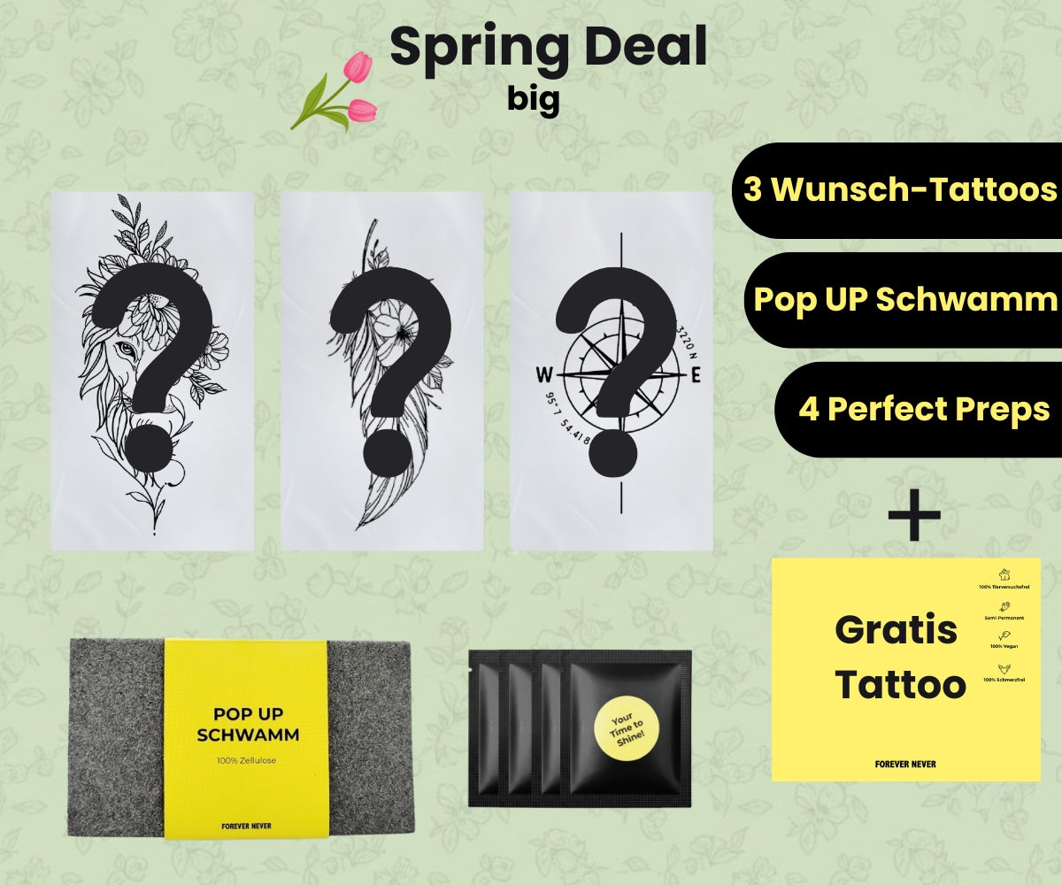3er Starterset Spring Deal Big
