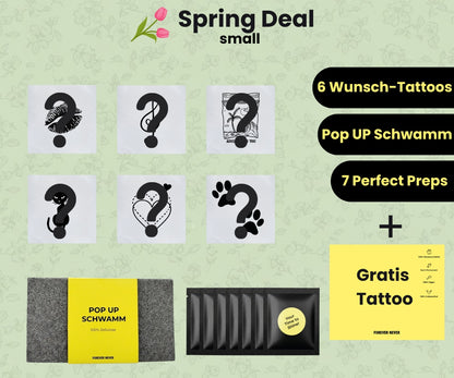 6er Starterset Spring Deal Small