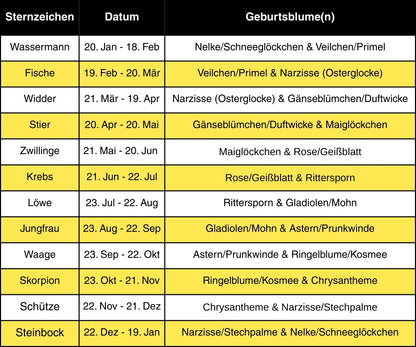 Sternzeichen Wassermann &amp; Geburtsblume Februar