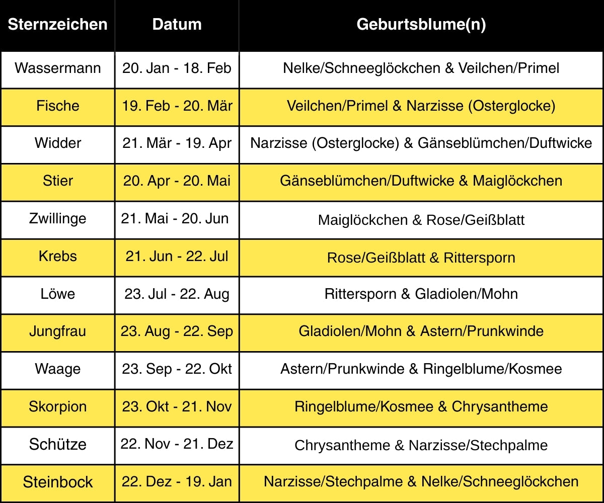 Sternzeichen Fische &amp; Geburtsblume Februar