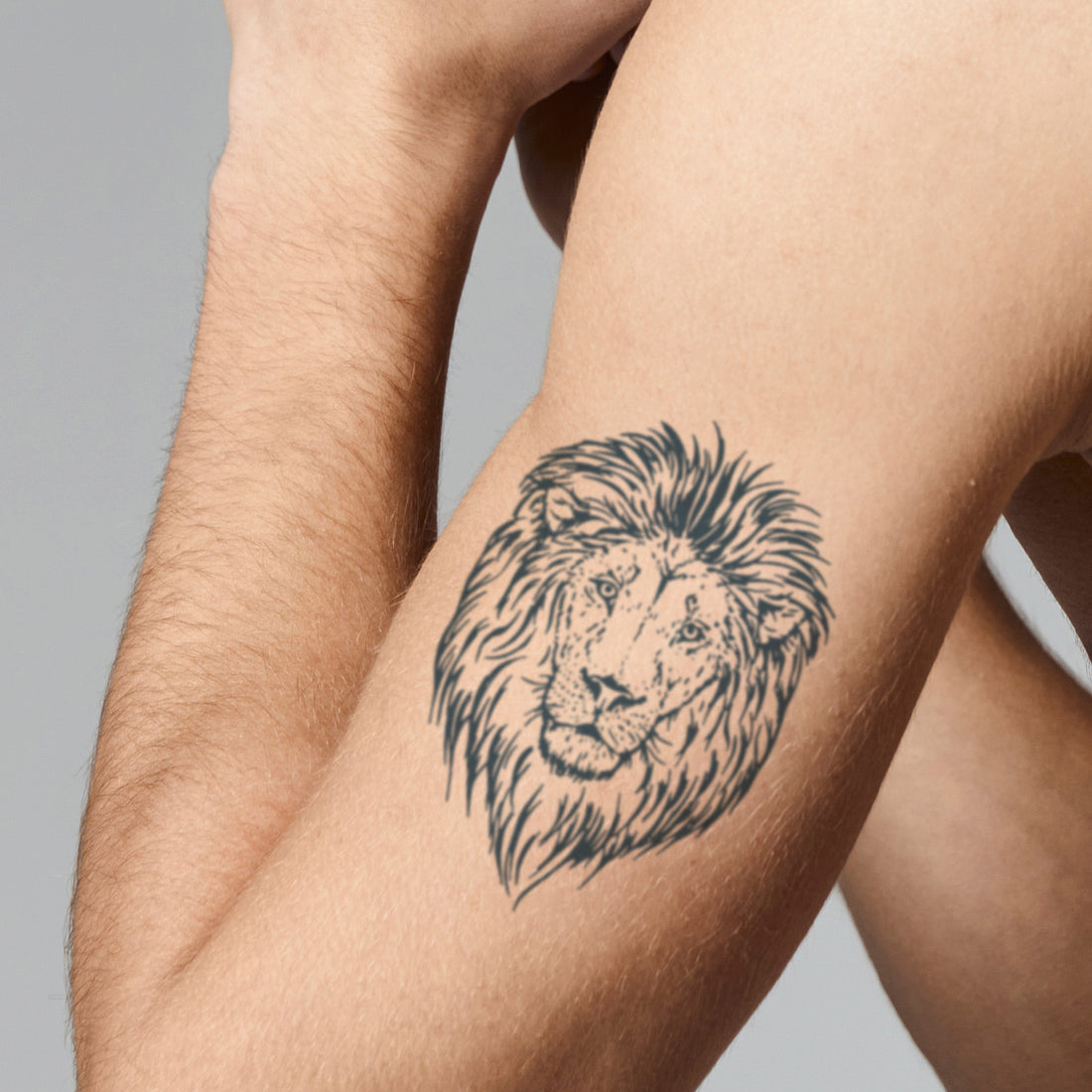 lion 🖤